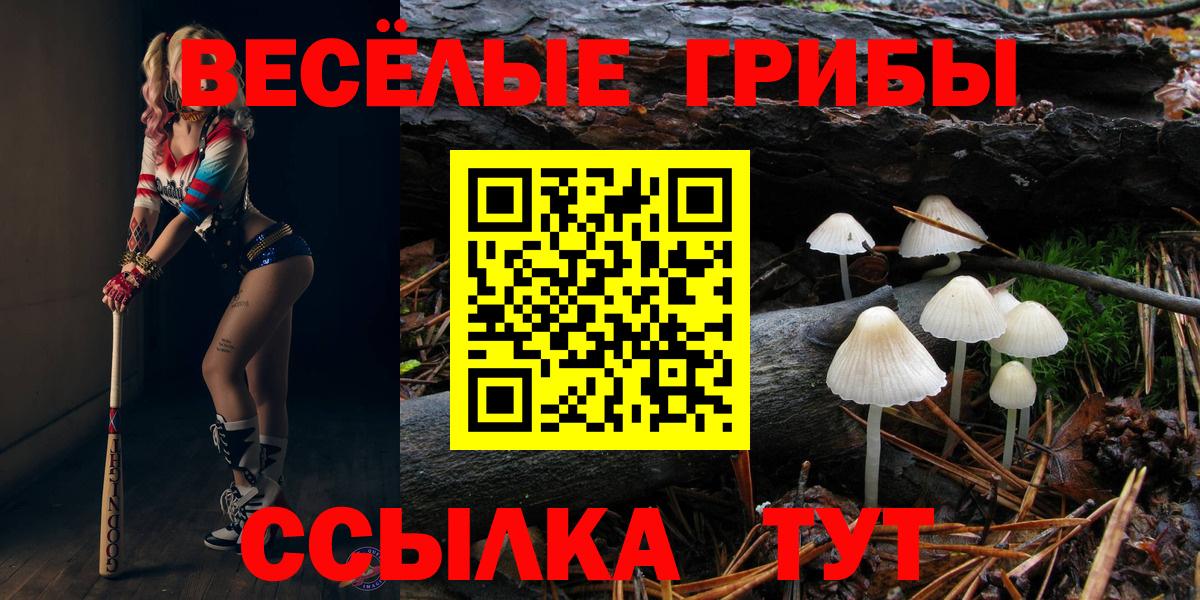 Галлюциногенные грибы GOLDEN TEACHER Каменка