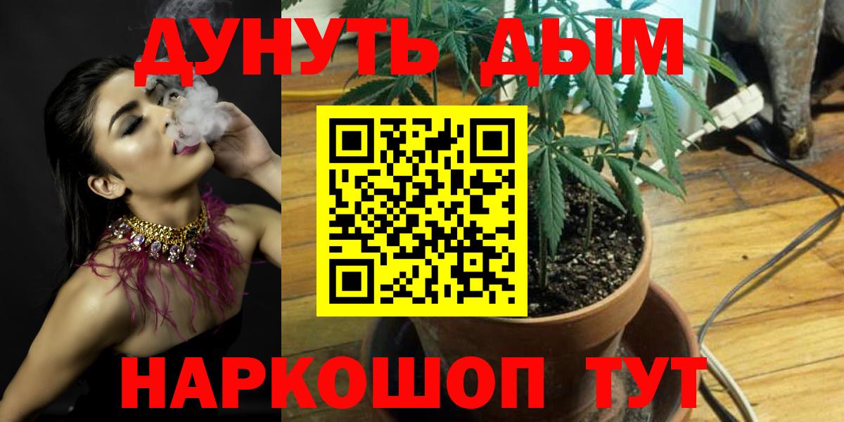 Бошки Шишки Ganja  Бошки Шишки OG Kush  Вход с VPN  Каменка 